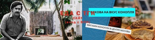 стафф Аркадак