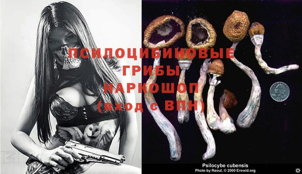 стафф Аркадак