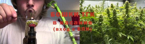 тгк Армянск